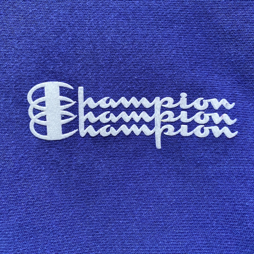 Vintage Rare Champion reverse weave pullover hoodie sweatshirt spell out y2k - Picture 5 of 7